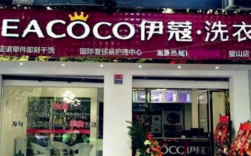 哪里學干洗技術？新手必看！