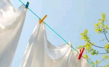 干洗的過程和原理是什么？